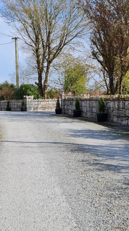 Yellow Heights Country House Tinahely Exterior photo