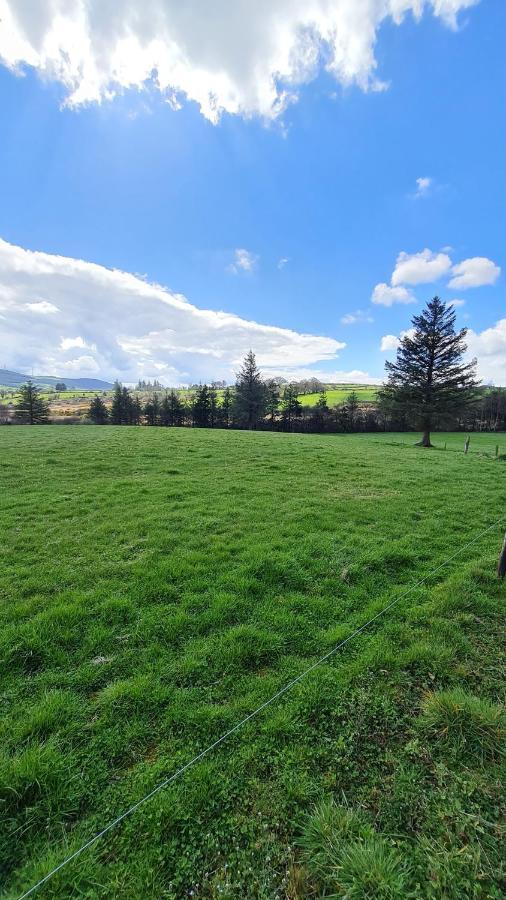 Yellow Heights Country House Tinahely Exterior photo